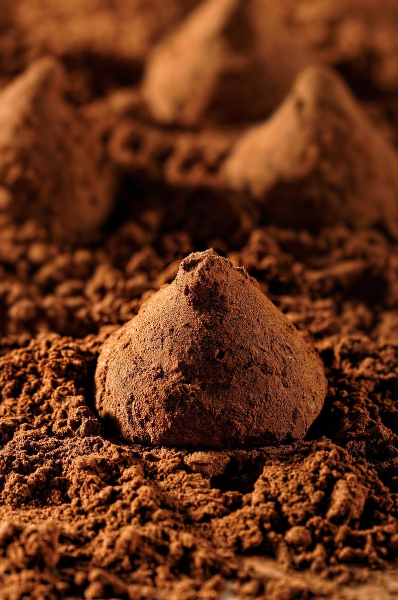 Chocolate truffles